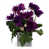 Purple is out of stock