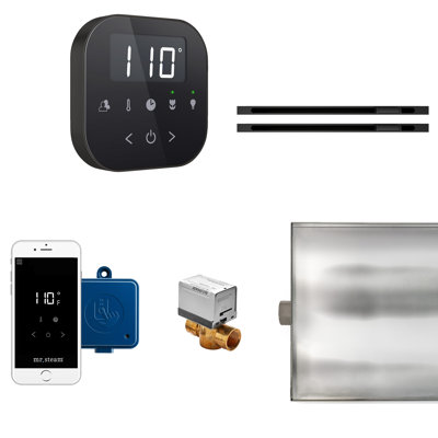 Steam Generator Control