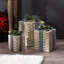 Woven Design Nested Box Décor With Pine Cones And Bow Set Of 3