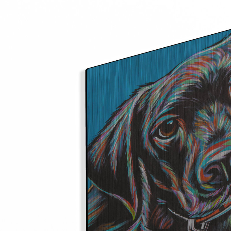 «Furry Dog Friend 2» par Carolee Vitaletti, H 12 po x l 12 po