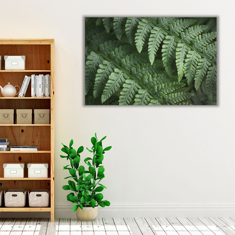 Lady Ferns III - reproduction d'art sur toile, H 20 po x l 30 po