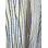 Rideaux à rayures bleu marine et beige