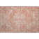 Premium Machine Washable Wayne AMF1104 Global Rug