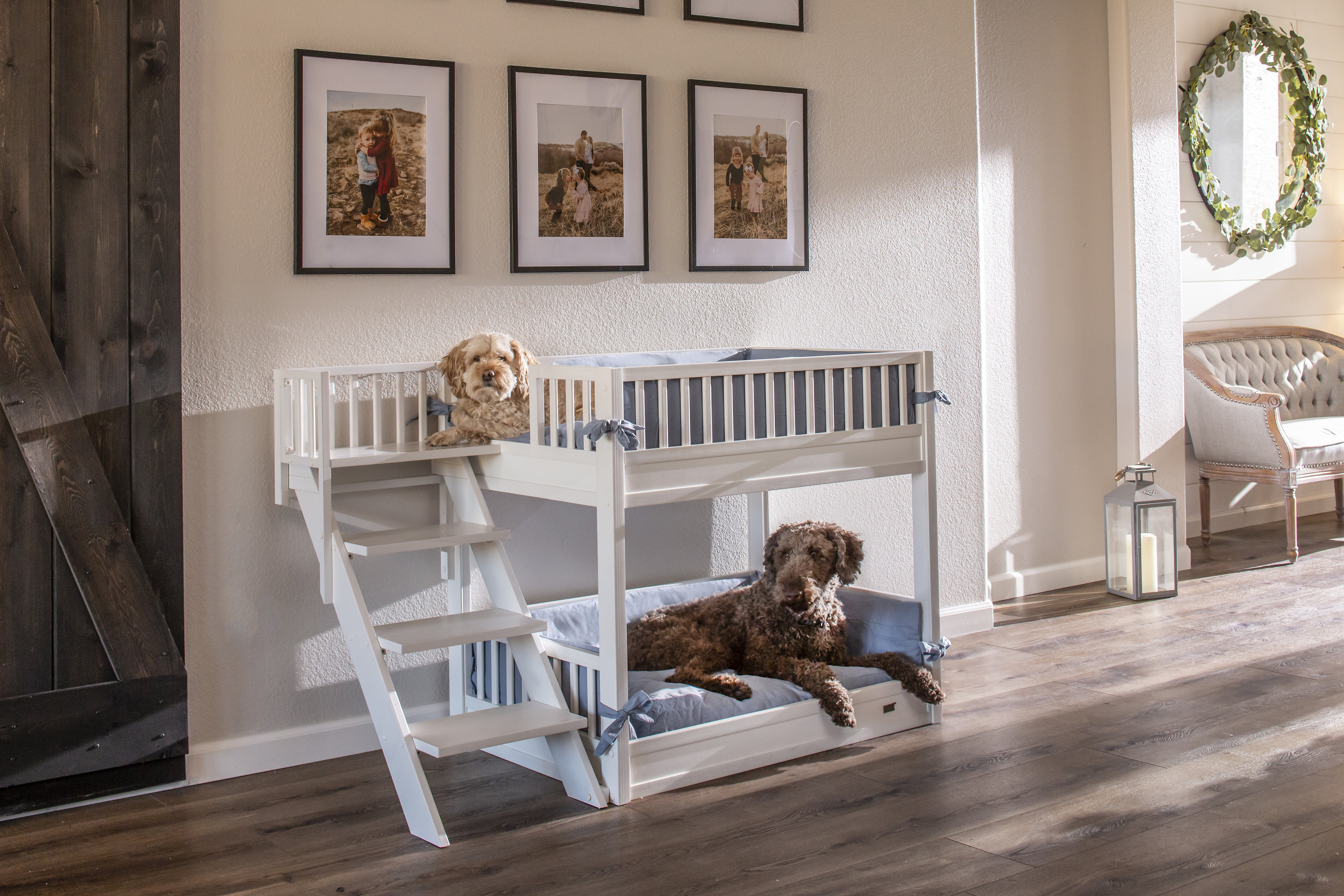 New Age Pet ECOFLEX Dog Bunk Bed with Removable Cushions Reviews  Wayfair Canada