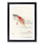 Two Carp by Ohara Koson - Framed Print-55614421-55614427