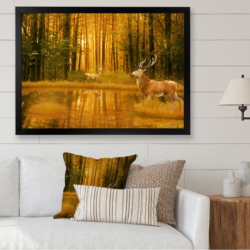 Deer Bucks In Summer Sunset - Décoration murale traditionnelle sur toile, H 8 po x l 12 po x P 1 po, Cadre photo noir