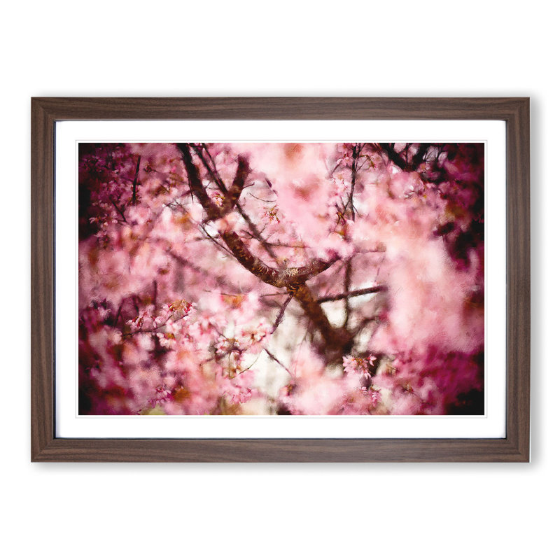 Pink Cherry Blossom Flowers Vol.4 - Framed Print, 48cm H x 65cm W x 2cm D, Walnut Framed