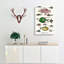 Various Fishes XXXIII by Oliver Goldsmith - Wrapped Canvas Painting Print-55370204