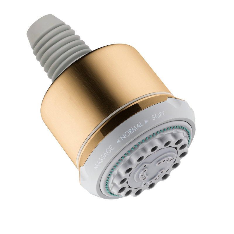 Clubmaster Multi Function Adjustable Shower Head, Brushed Bronze