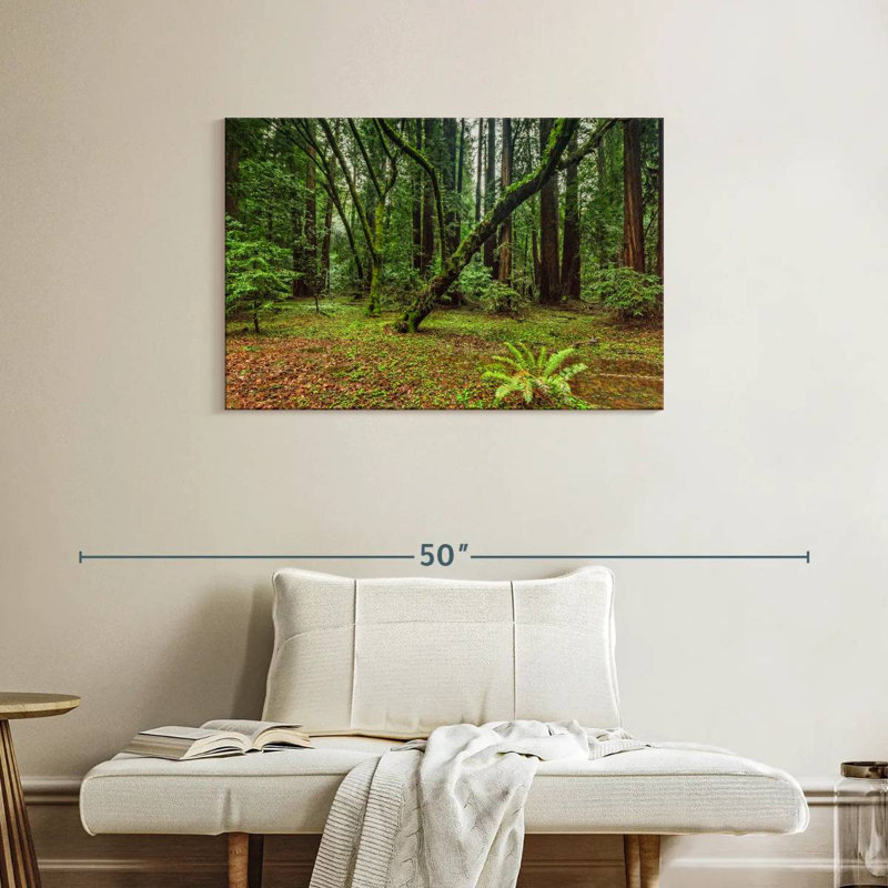 Alvord Muir Woods Forest, 24" H x 36" W