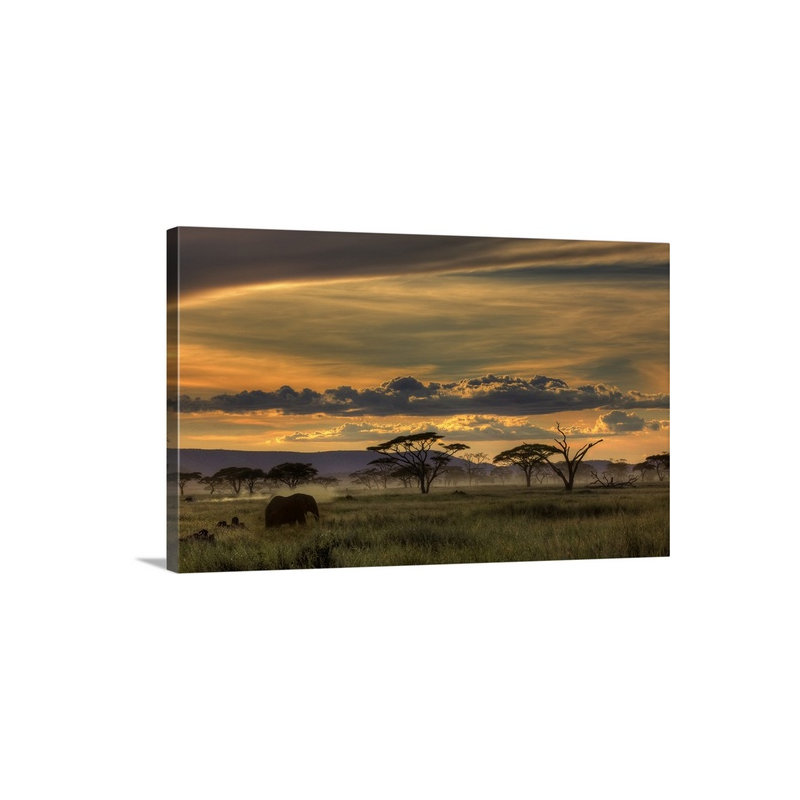 "Afrique" par Amnon Eichelberg, "Straub" par Straub, H 32 po x l 48 po x P 1,25 po, Toile