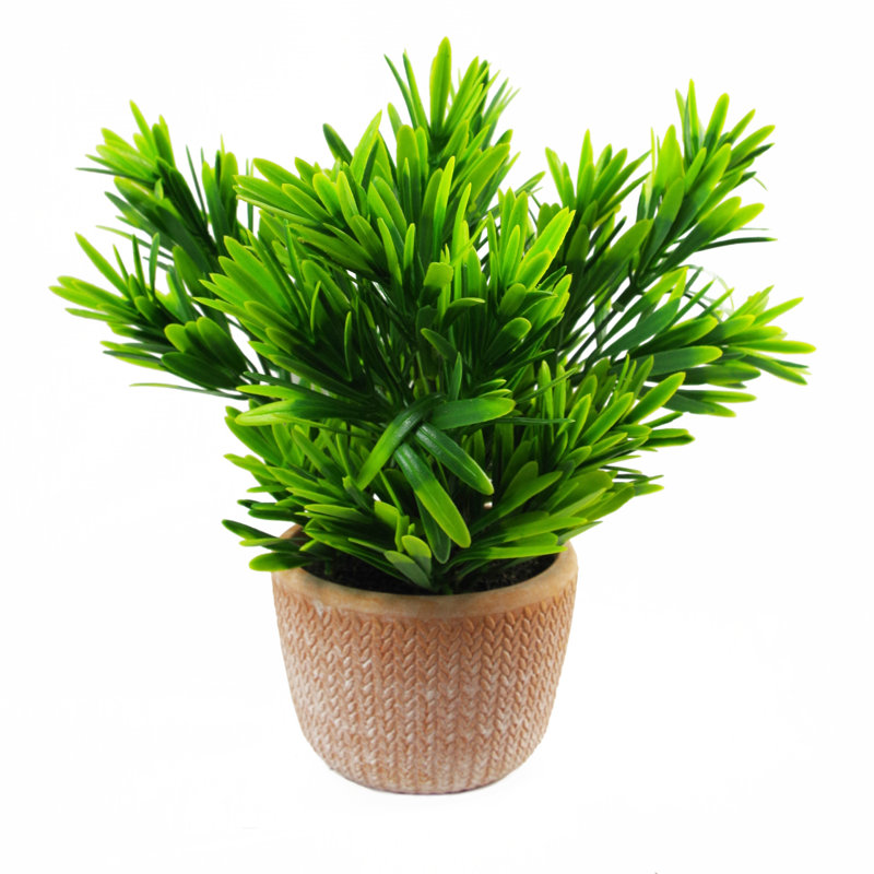 Ananias 22cm Faux Foliage Plant in Terracotta Pot