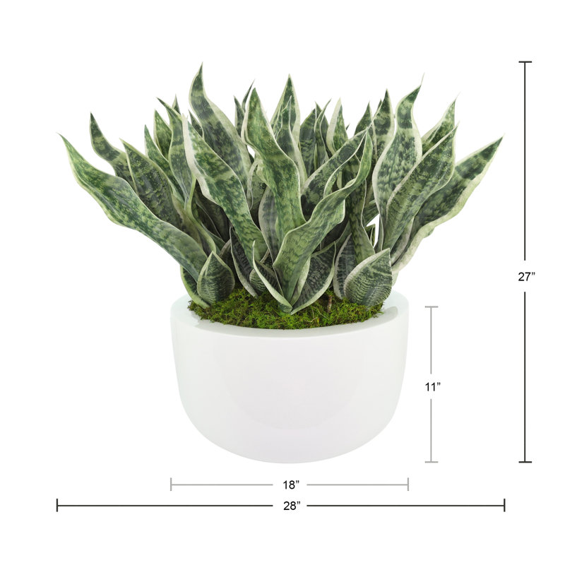 Faux Sansevieria Plant in Fiberstone Planter