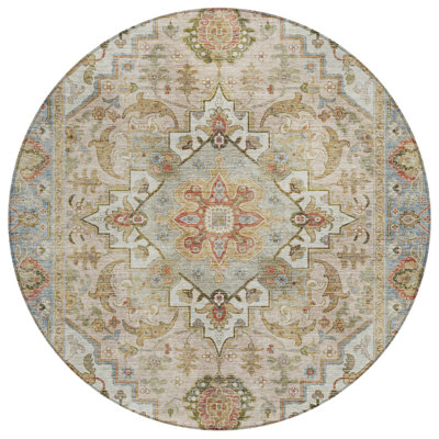Machine Washable Indoor/Outdoor Oden ACN2163 Global Rug