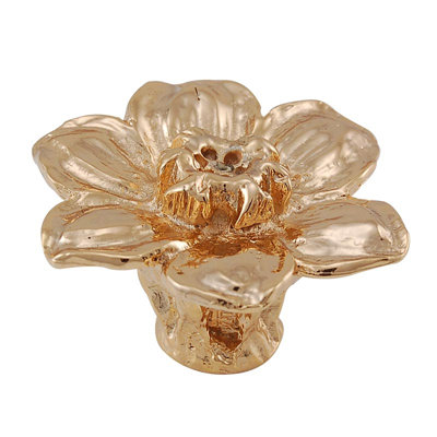 Carlotta Novelty Knob