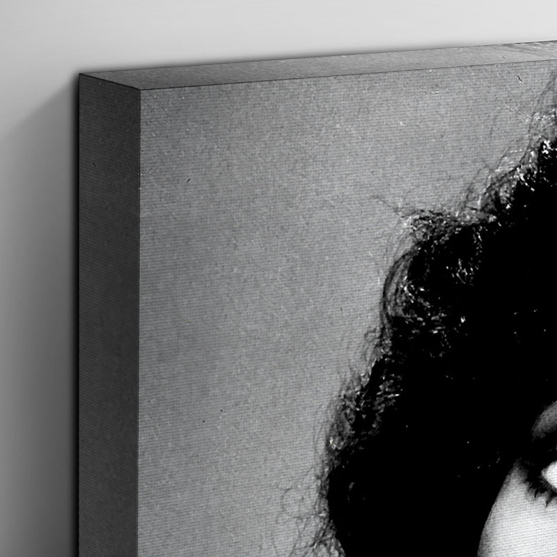 Cher Photographic - Wrapped Canvas, 50cm H x 35cm W
