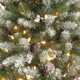 The Holiday Aisle® Dunhill Fir Tree with Clear Lights