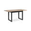 Alduina Extendable Dining Table-230812693