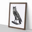 Egyptian Owl Illustration - Picture Frame Drawing Print-55539659-55539663