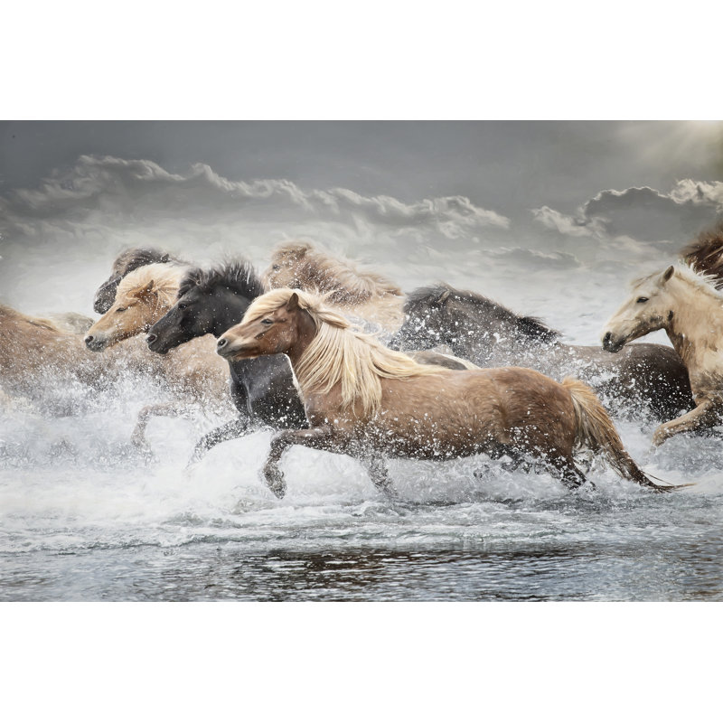 " Horse Run IV " Print, 12" H x 18" W