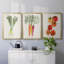 Toile encadrée organique Premium Veg II - prête à être accrochée-69982963-69982964