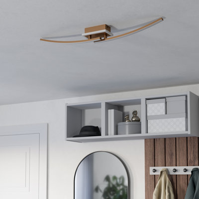 Macalester Plastic LED Semi Flush Mount
