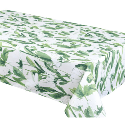Nappe Faaris