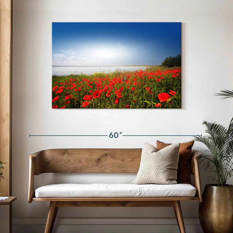 Alvord Lakeside Poppy Field, H 30 po x l 45 po