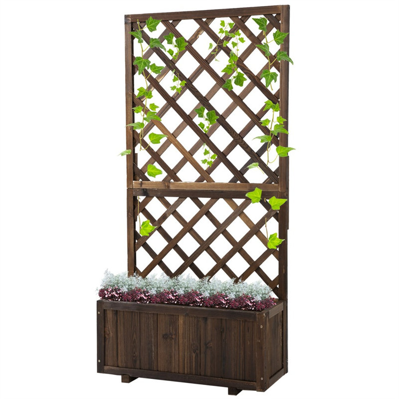 Boîte à fleurs en bois de sapin massif avec treillis, plante décorative d'extérieur