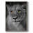 Lioness Portrait Framed Print - Solid Wood