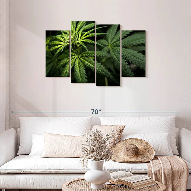 Cannabi dans le noir