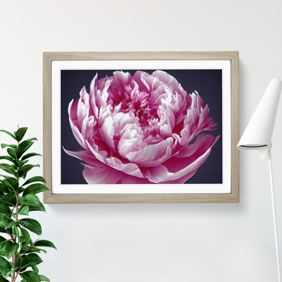 Astonishing Peony Flower 1 Piece Single Picture Frame Wall Art