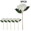 Hortensia Laidley-884635534