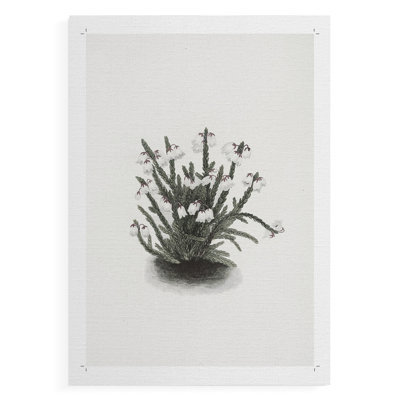 Imprimé floral rétro CLxxi - impression sur toile seulement - non encadré