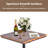 Jaisai 2 - Person Solid Wood Top Four Leg Dining Set
