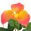 Faux Flowering Plant in Pot-33205906-33205915