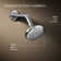 Awaken B90 Three-Function Showerhead 2.5 Gpm