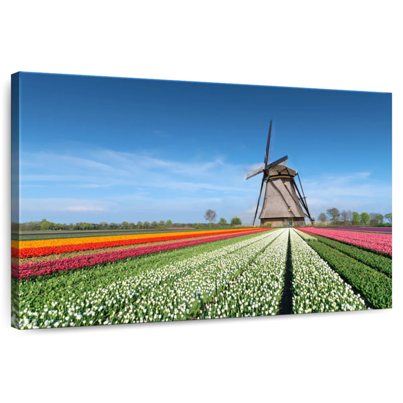 Moulin à vent et tulipes Alvord, H 16 po x l 24 po