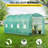 Hobby Greenhouse-95996363-117579693