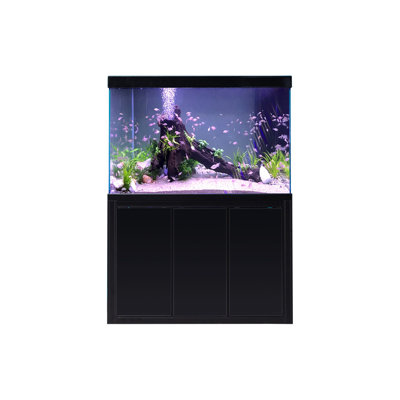 Réservoir d'aquarium rectangulaire simple et moderne Eco