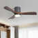 42.5" 3 - Blade Dimmable LED Light Standard Ceiling Fan with Remote Control and Light Kit Included