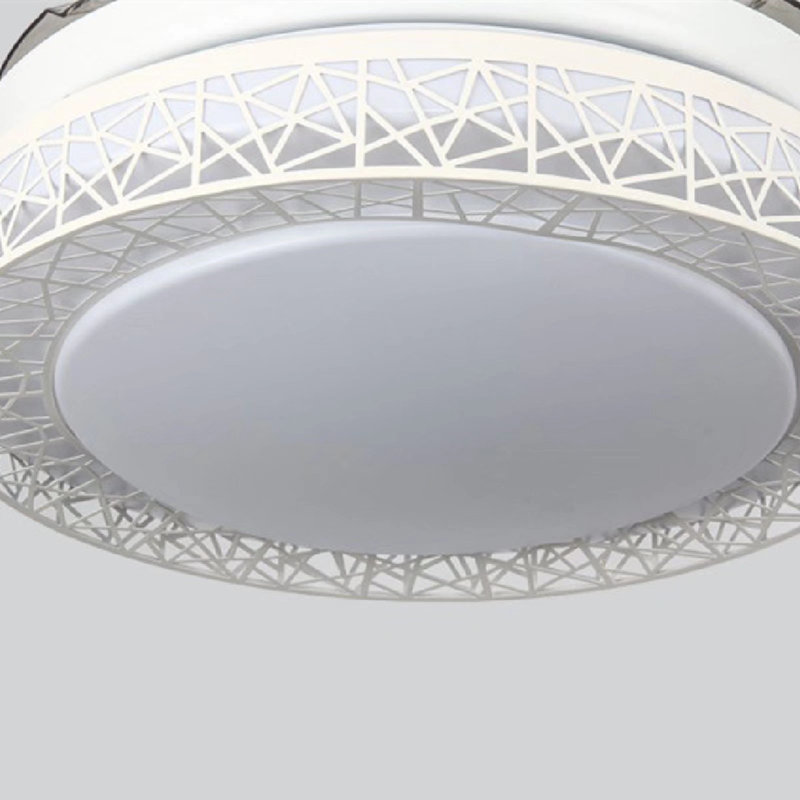 42.13'' Ceiling Fan with LED Lights