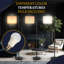 160cm Arched Floor Lamp