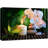 Relaxing Zen Candle White Orchid Massage Stone Bamboo Forest Nature Yoga On Canvas Print-90816643