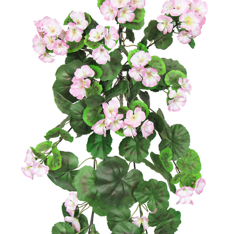 Buisson de géranium suspendu, Rose clair / vert