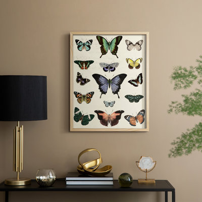 Flutterbys II Framed Print - Solid Wood