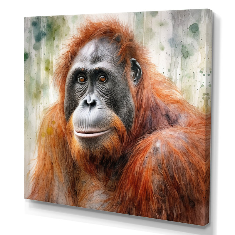 Orang-outan tropical I - animaux, art mural sur toile, H 16 po x l 16 po x P 1 po, Toile tendue