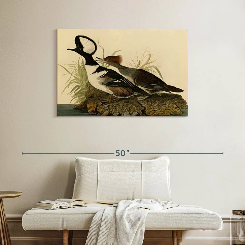 Hooded Merganser, 26" H x 39" W