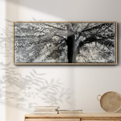 Story From Light and Shadow- Framed Canvas
