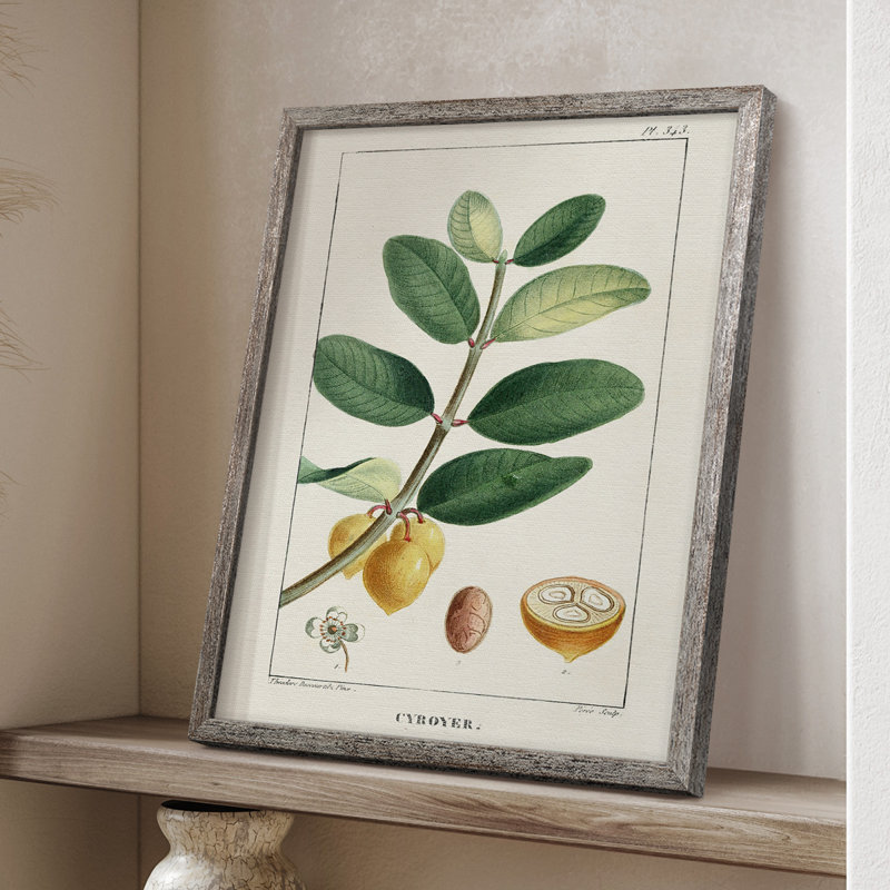 «Turpin Tropical Botanicals», reproduction encadrée en bois massif, H 21 po x l 17 po